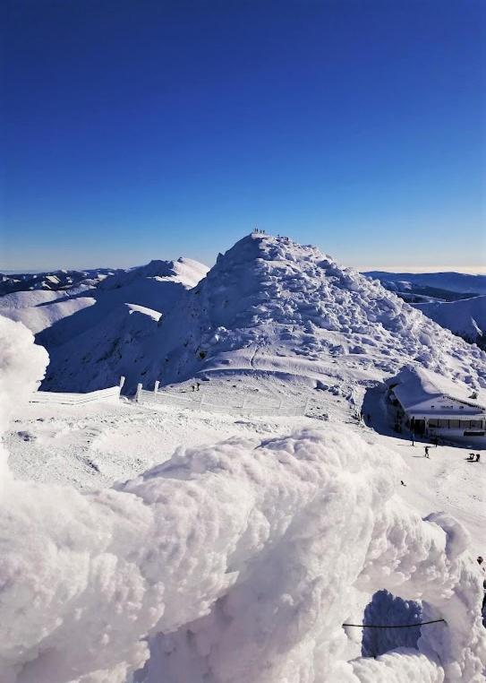 Chata Demian Demanovska Dolina Exteriör bild