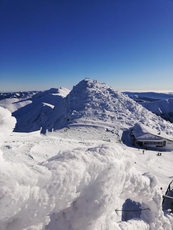 Chata Demian Demanovska Dolina Exteriör bild