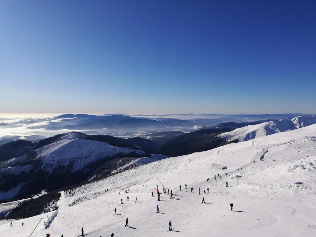 Chata Demian Demanovska Dolina Exteriör bild